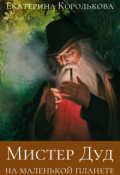 Обложка книги "Мистер Дуд на маленькой планете"