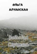 Обложка книги "Забытая Скрижаль"