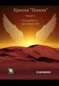 Обложка книги "Крылья "Поиска". Эпизод 1: Потерянное пространство"
