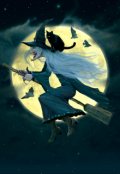 Обложка книги "Маленькая радость ведьмы"
