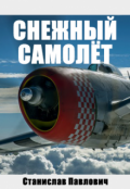 Обложка книги "Снежный самолёт"