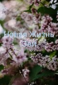 Обложка книги "Новая Жизнь Эви "