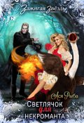 Обложка книги "Светлячок для некроманта, или Новогодний переполох в Рэйлине"
