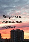 Обложка книги "Встреча в железном городе"