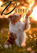 Обложка книги "Динго"