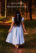 Обложка книги "Наблюдая за солнцем"