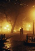 Обложка книги "Место встречи нельзя изменить"
