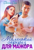 Обложка книги "Маленький сюрприз для мажора"