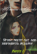 Обложка книги "Уроки магии или, как заарканить ведьму? Книга 1"