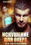 Обложка книги "Искушение для опера под прикрытием"