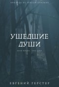 Обложка книги "Ушедшие Души"