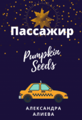 Обложка книги "Пассажир"