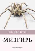 Обложка книги "Мизгирь"