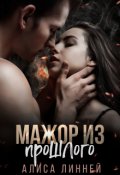 Обложка книги "Мажор из прошлого"