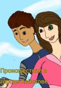 Обложка книги "Происшествие в городе Койотове"