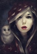 Обложка книги "Огненная сова"