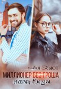 Обложка книги "Миллионер без гроша и серая Мышка"