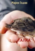 Обложка книги "Галка"