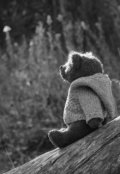 Обложка книги "Прощание с юностью"