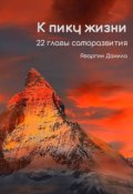 Обложка книги "К пику жизни. 22 главы саморазвития"