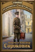 Обложка книги "Тайна кожаного портфеля"