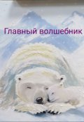 Обложка книги "Главный волшебник"