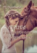 Обложка книги "Сказка о волшебном озере и чудесном платке"