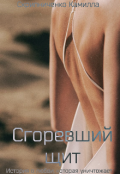 Обложка книги "Сгоревший щит"