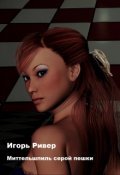 Обложка книги "Миттельшпиль серой пешки"