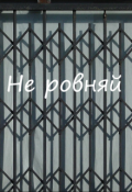 Обложка книги "Не равняй"