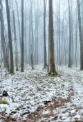 Обложка книги "Настроение для планеты"