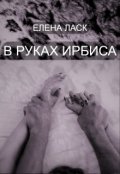 Обложка книги "В руках Ирбиса"