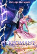 Обложка книги "Некромант и бабочка-пересмешница"