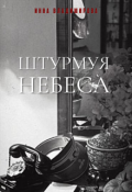 Обложка книги "Штурмуя небеса"
