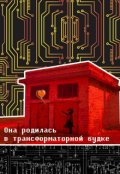 Обложка книги "Она родилась в трансформаторной будке"