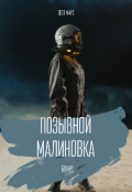 Обложка книги "Бонус к рассказу Позывной  "Малиновка""