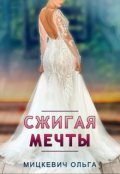 Обложка книги "Сжигая мечты"