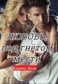 Обложка книги "Любовь, под гнётом мести"
