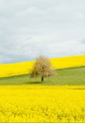 Обложка книги "Почему нас преследует несправедливость?"