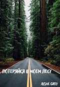 Обложка книги "Потеряйся в моем лесу"