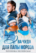 Обложка книги "Два чуда для Папы Мороза"