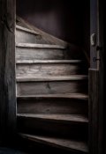 Обложка книги "Рождество на чердаке."