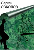 Обложка книги "Явление интерференции"
