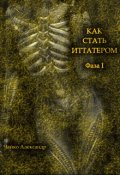 Обложка книги "Как Стать Иттатером фаза 1"