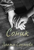 Обложка книги "Соник"