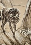 Обложка книги "Волчья кровь"