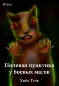 Обложка книги "Полевая практика у боевых магов"