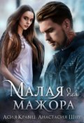 Обложка книги "Малая для мажора"