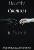 Обложка книги "Между Светом и Тьмой"
