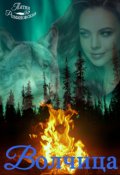 Обложка книги "Волчица"